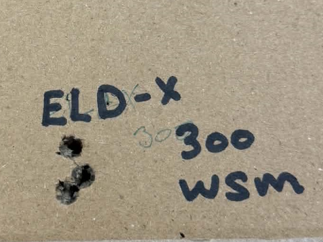 Browning ELDX Group web
